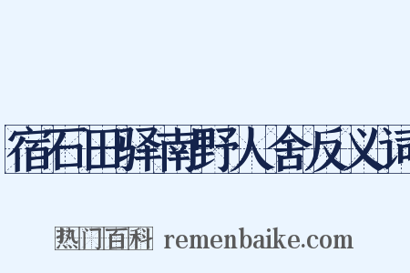 宿石田驿南野人舍反义词是什么意思的图片